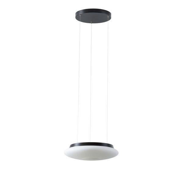 LED-1L61C03ZLE11/462/L100 C 3000 image 1