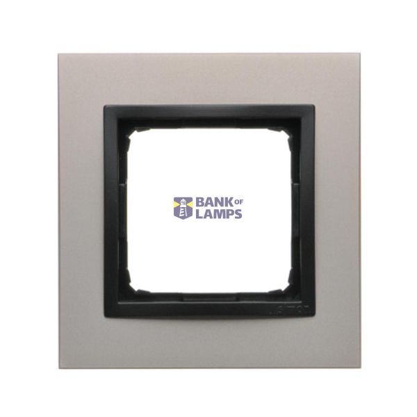 Single frame, metal, satin night image 1