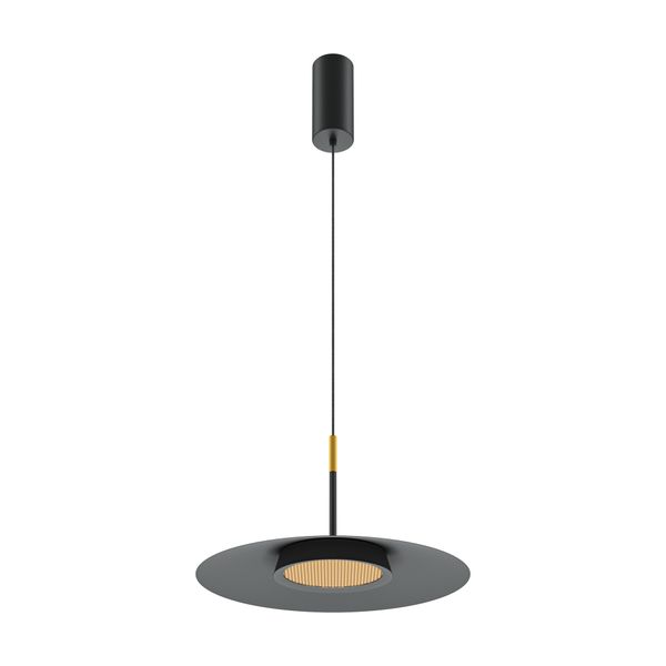 Modern El Pendant lamp Black image 1