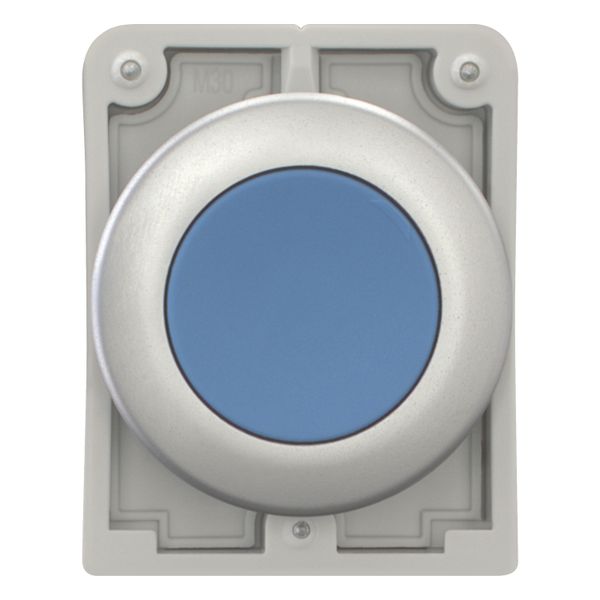 M30C-FDR-B Pushbutton, RMQ-Titan, Flat, maintained, Blue, Blank, Metal bezel image 4