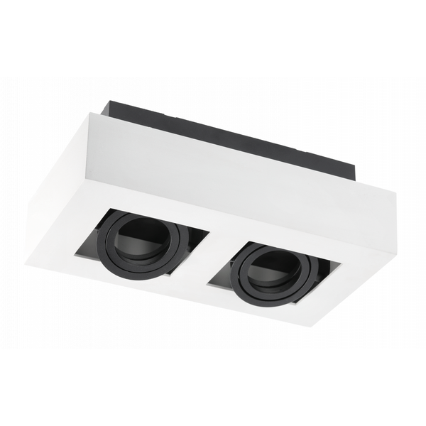 Ceiling fixture ASTER, AC220-240V, 50/60 Hz, GU10, max.20W * 2, IP20, aluminum, double, white image 1