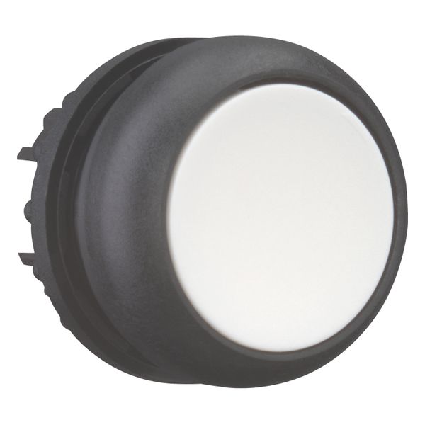 M22S-DR-W Pushbutton, RMQ-Titan, Flat, maintained, White, Blank, Bezel: black image 8