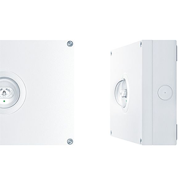 RESCLITE PRO MSW ESCW E8D WH IP65 - Safety luminaire image 1