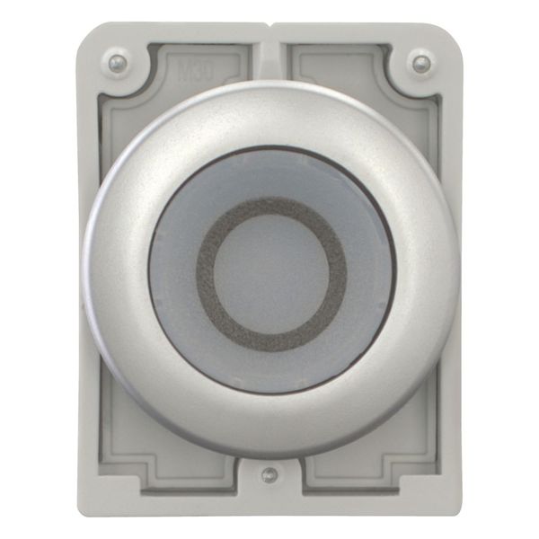 M30C-FDRL-W-X0 Illuminated pushbutton actuator, RMQ-Titan, Flat, maintained, White, inscribed 0, Metal bezel image 10