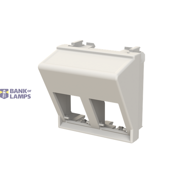 N2216.6 DN - Cover 45 Double Data Socket image 2