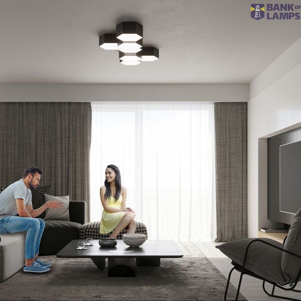 CEILING LAMP SUNDE 13 BLACK E27 2X60W IP20 image 4