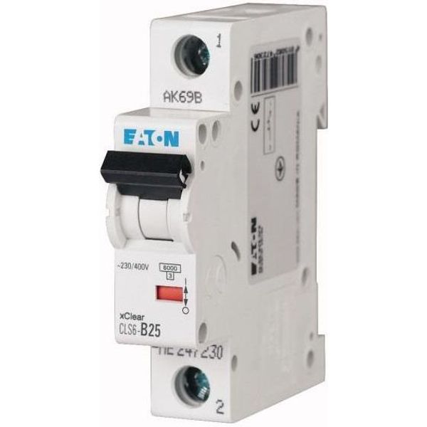 PL6-C40/1 Miniature circuit breaker (MCB), 40 A, 1p, characteristic: C image 1