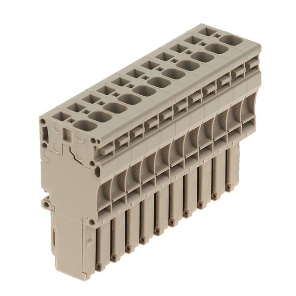 Z-series, Plug-in connector, beige, Direct mounting image 1