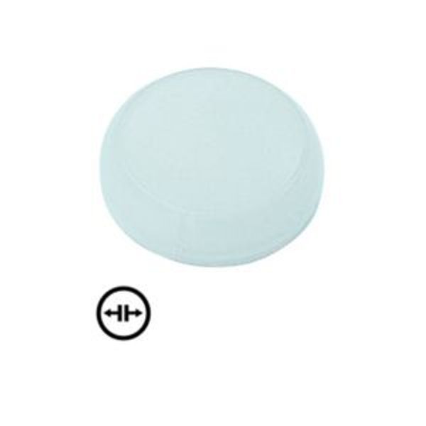 M22-XL-W-X13 Lens, indicator light white, flush, symbol solve image 1