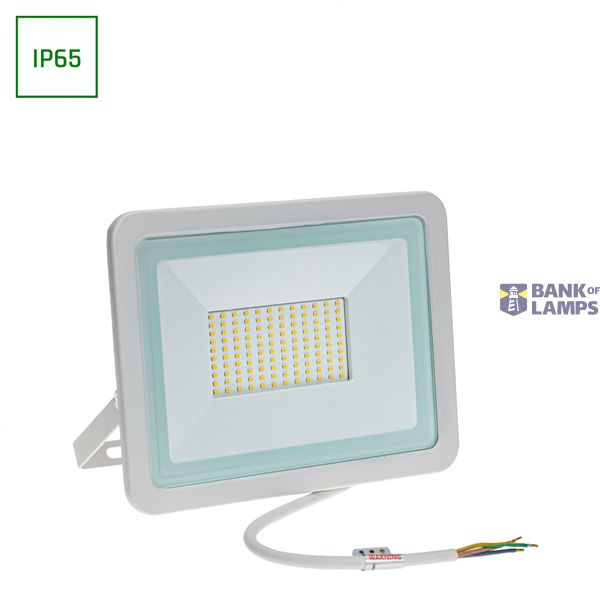 NOCTIS LUX 2 SMD 230V 100W IP65 CW white image 1