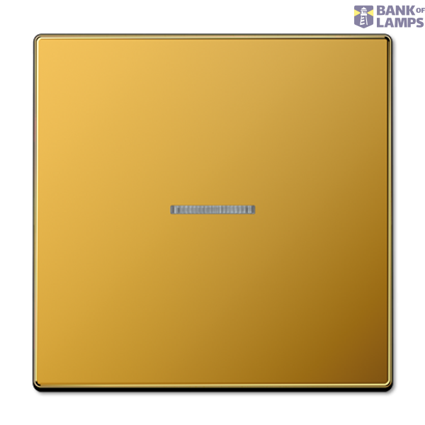 Centre plate with radio receiver FMLS1561.07GGO image 1