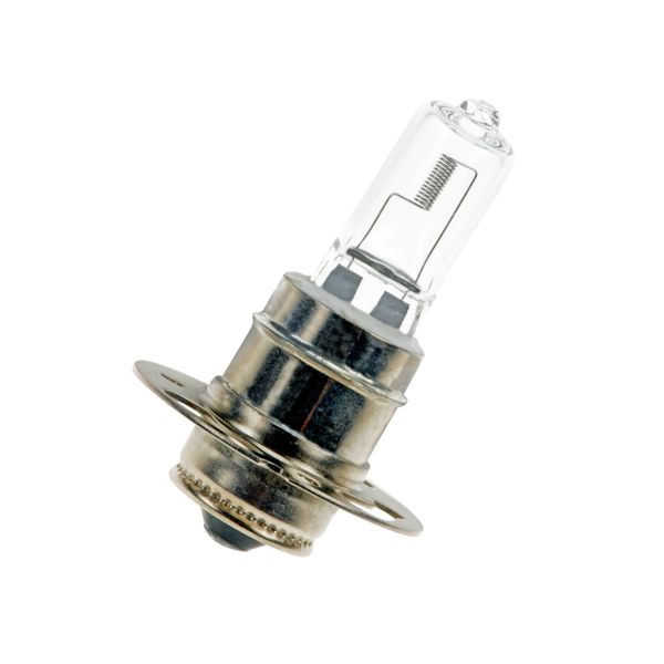 P30s 11X54 12V 75W C-8 Halogen image 1
