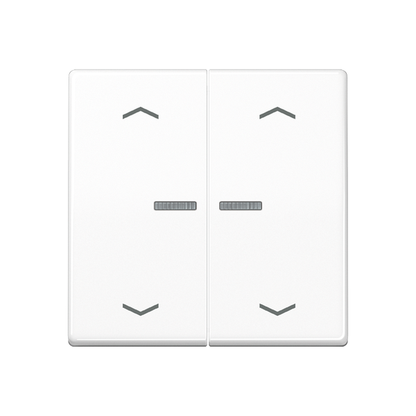 JUNG HOME push-button 2-gang with arrow BTA17102PWW image 1