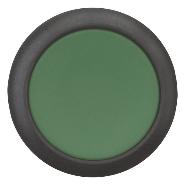 Pushbutton, Flat, maintained, 1 NC, 1 N/O, Screw connection, green, Blank, Bezel: black image 4