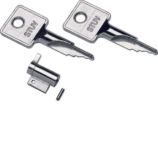 Door key,gamma, for mini-enclosure image 1