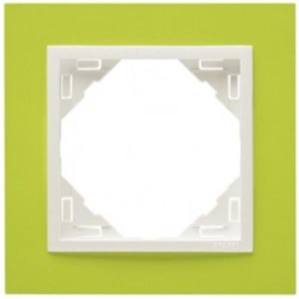 SINGLE FRAME GREEN/ICE image 1