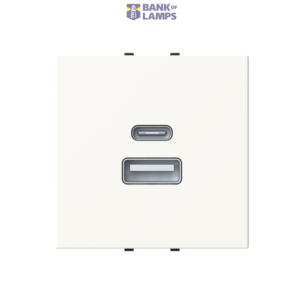 N2285.3 PL CARICATORE USB-A+C 10,5W -2M image 1