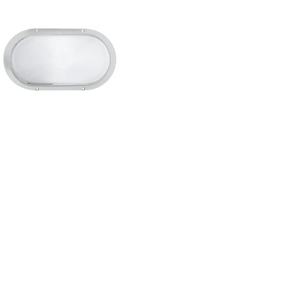 SUPERDELTA OVALE WIT E27 image 2
