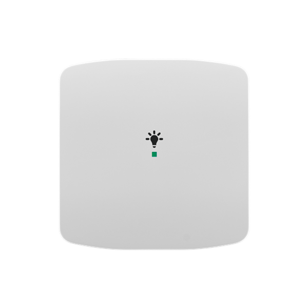 Rocker, 1gang, with “Light” icon image 1