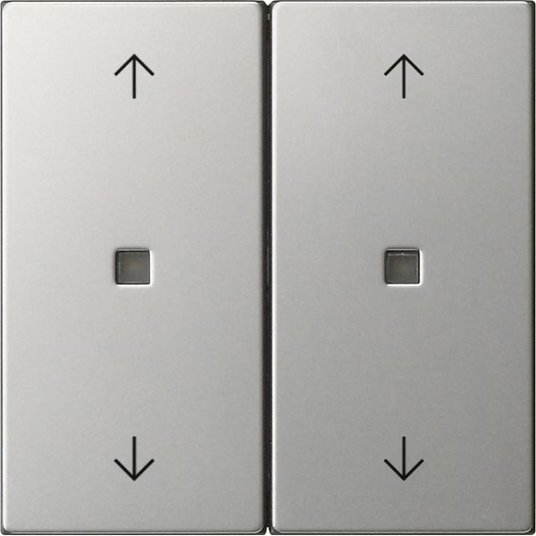 rocker 2-g arrows ctrl.win. System 55 stainl.steel image 1