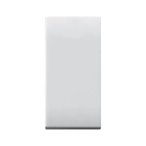 10AX 1WAY 1P SWITCH 250V LIGHT.1MOD image 1