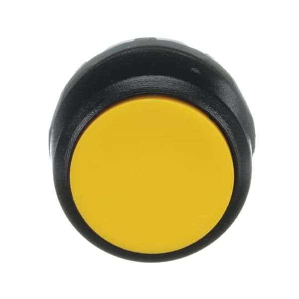 MP1-10Y Pushbutton image 5
