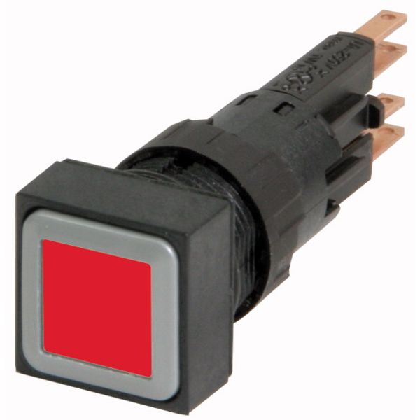 Q18LT-RT/WB Illuminated pushbutton actuator, red, momentary, +filament lamp 24V image 2