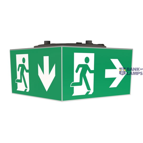 Emergency light WHG WL LED IP65 3h 230 V AC, ceiling image 1