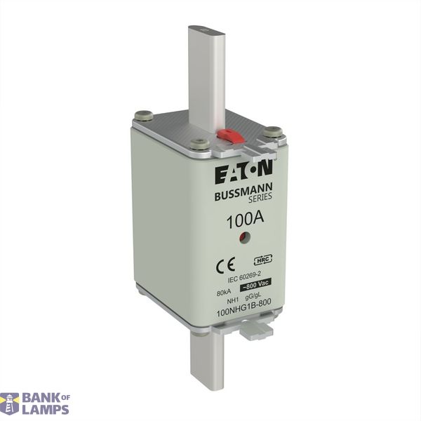 Fuse-link, LV, 100 A, 800 V AC, NH1, Class gG/gL image 2