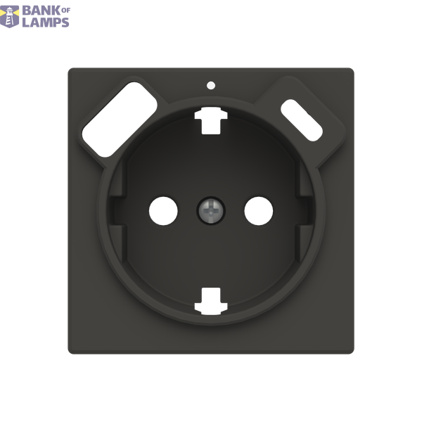 Cover Schuko + USB A+C image 1