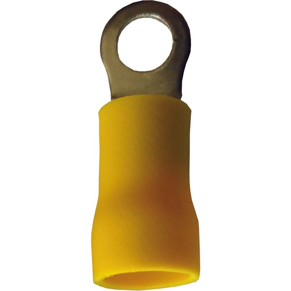 Fichero: Ter pre red amarillo.jpg image 1