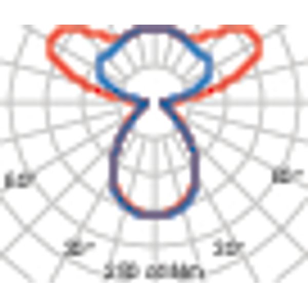 SL720+PL RL 33 S/C 840 GREY DALI MP image 8