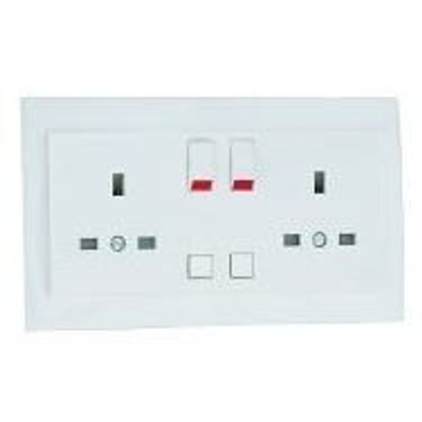 DOUBLE EARTH SOCKET (BRITISH TYPE) ICE image 1