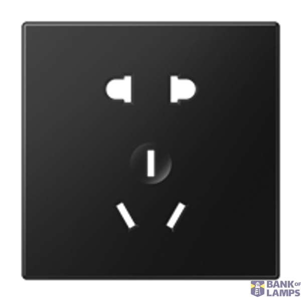 Socket LS3521-5CNSW image 1