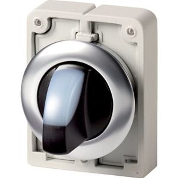 M30I-FWLK3-W Illuminated selector switch actuator, RMQ-Titan, with thumb-grip, momentary, 3 positions, White, Front ring stainless steel image 2