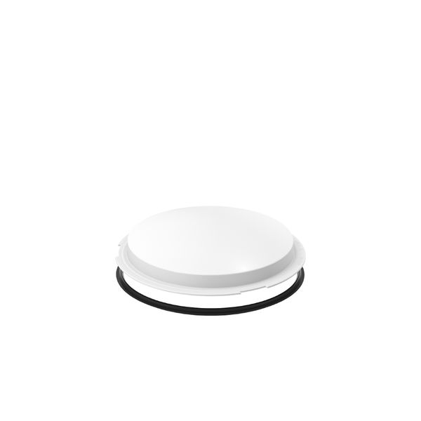 Replacement cover, plastic glass D 294 H 50 colour: white image 2