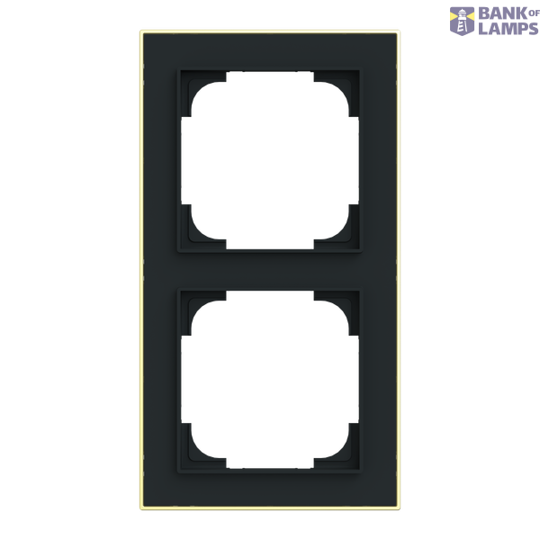 1722-453M-500 Cover  with decor ring, 2gang black matt gold image 1