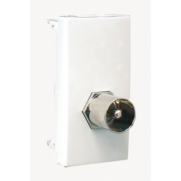 MOD W/1 IEC MALE/TYPE F CONNECTOR-1 MOD WHITE image 1