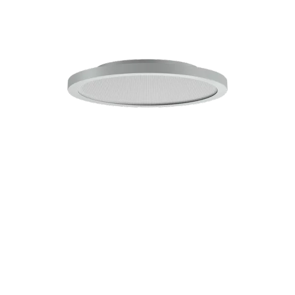 FL R+ 333 SM 8/23 S/B 830 GR9006 MP image 1