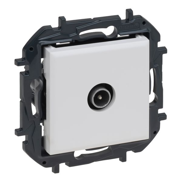 TV SOCKET TERMINAL WHITE image 3