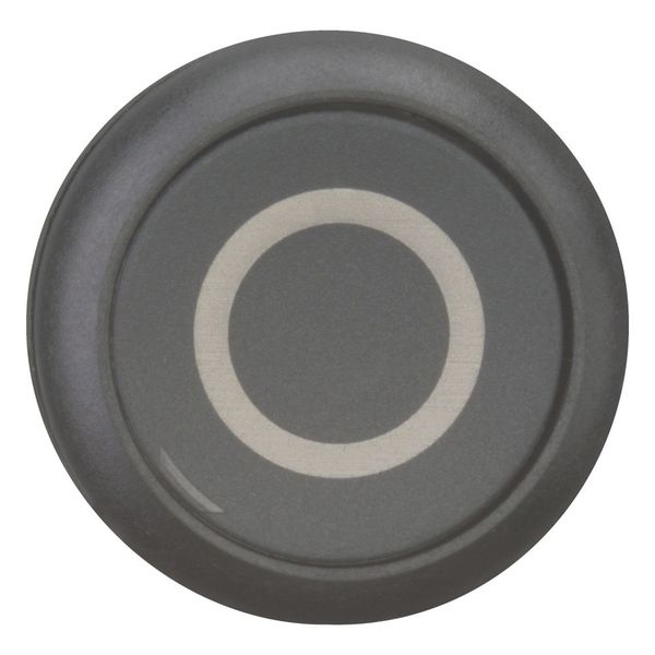 M22S-D-S-X0 Pushbutton, RMQ-Titan, Flat, momentary, black, inscribed, Bezel: black image 3
