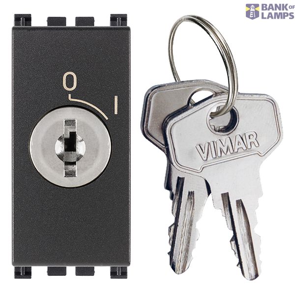 2P 16AX 1-way-switch +key in OFF grey image 1