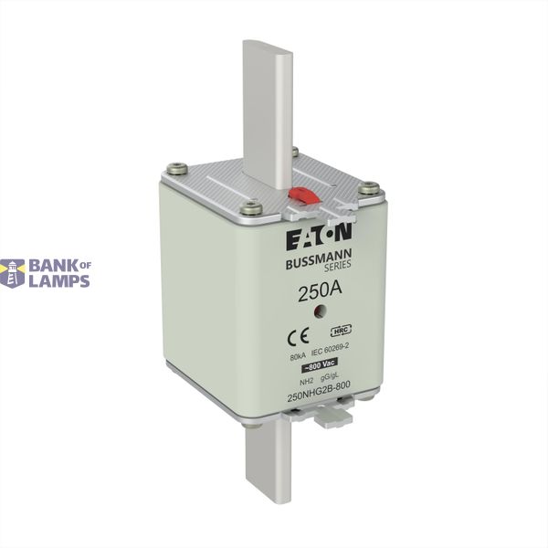 Fuse-link, LV, 250 A, 800 V AC, NH2, Class gG/gL image 4