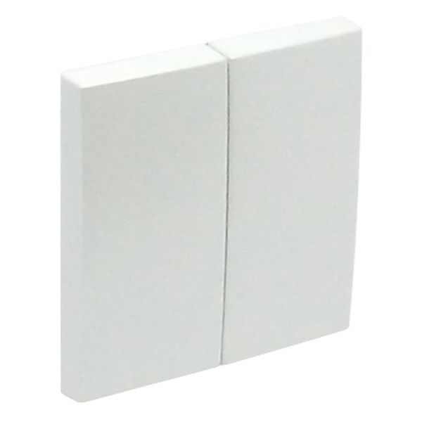 DOUBLE ROCKERS ICE image 2