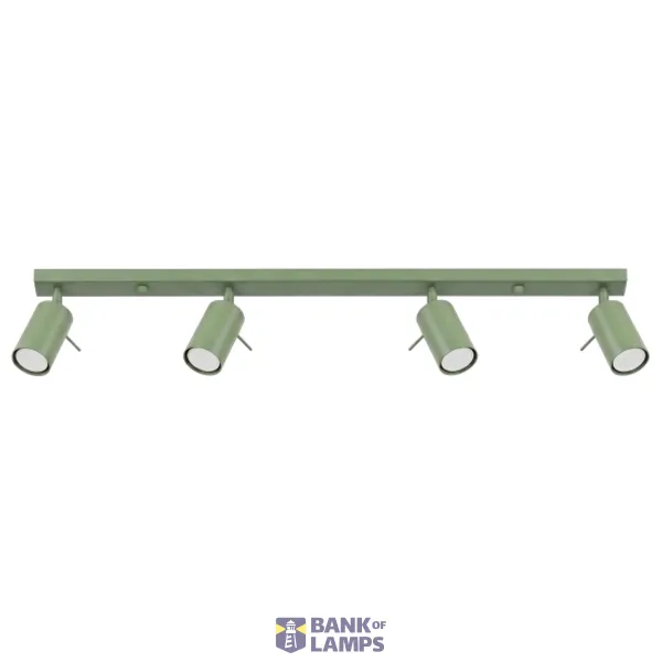 Ceiling lamp RING 4L sage image 1