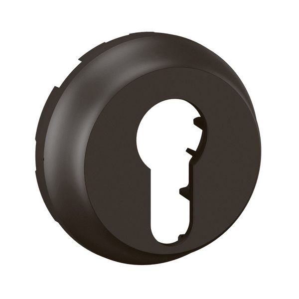 COVER PLATE image 1