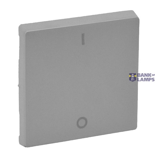 Cover plate Valena Life - double-pole switch - aluminium image 2