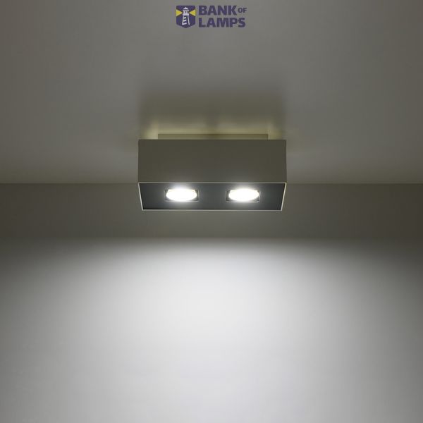 SPOT MONO 2 WHITE GU10 2X40W IP20 image 5