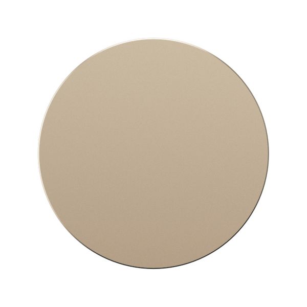 L4 RING COMMAND ROCKER SATIN NICKEL image 4