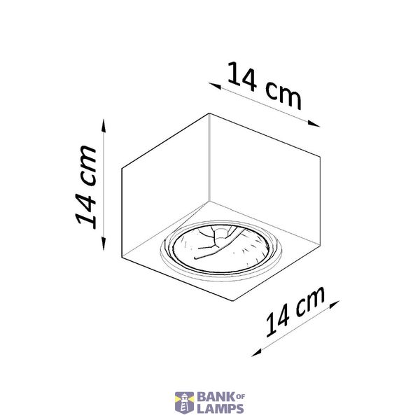 CERAMIC SPOT SEIDA GU10/ES111 1X40W IP20 image 4